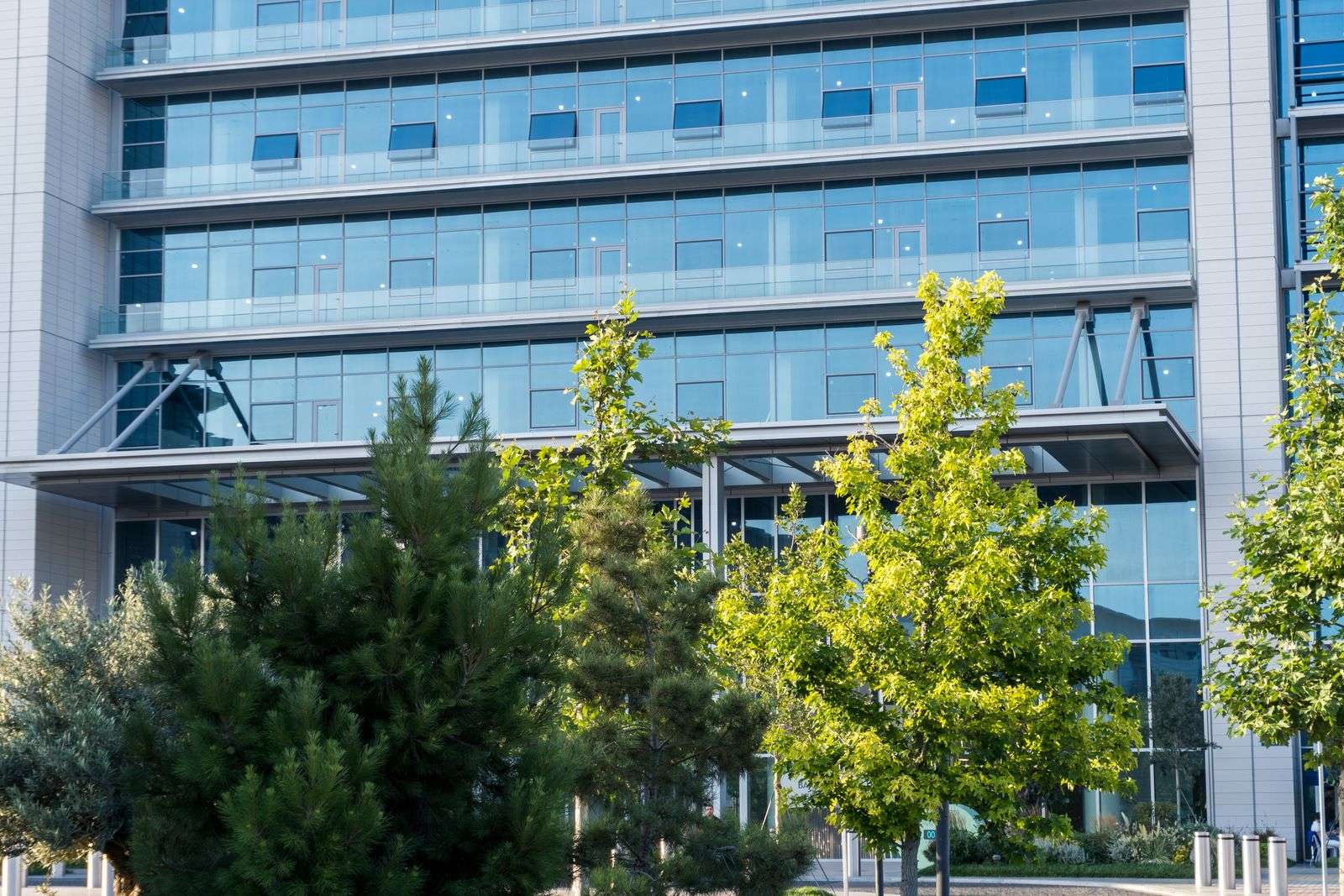 Glass office building framed by trees and shrubs